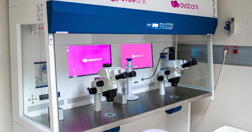 What is double donation in IVF