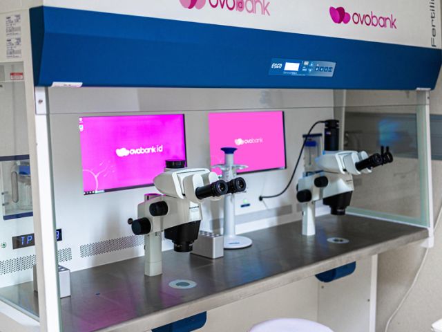 What is double donation in IVF