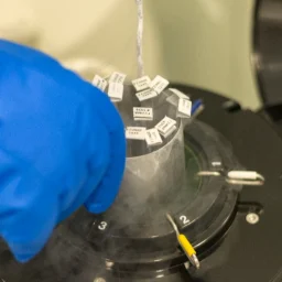 Vitrification technique