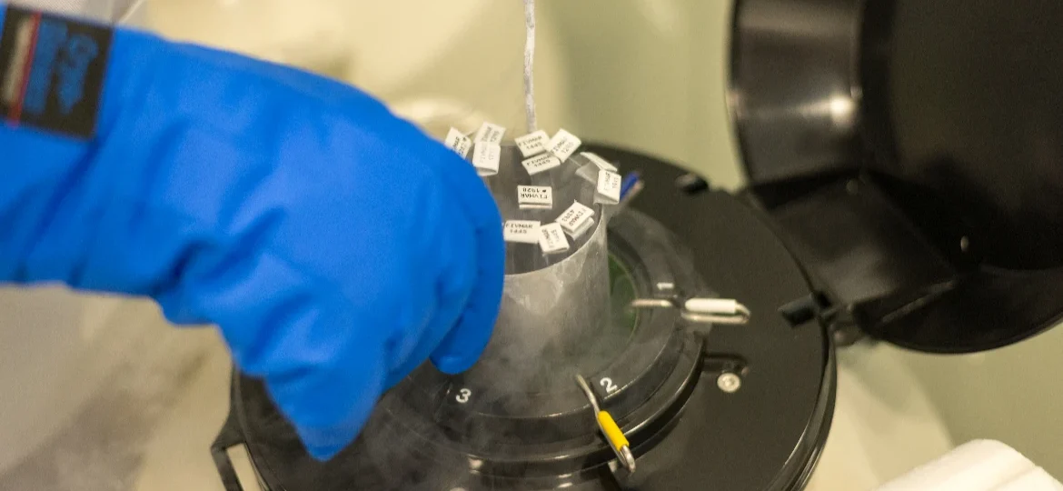 Vitrification technique