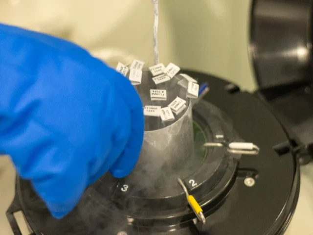 Vitrification technique