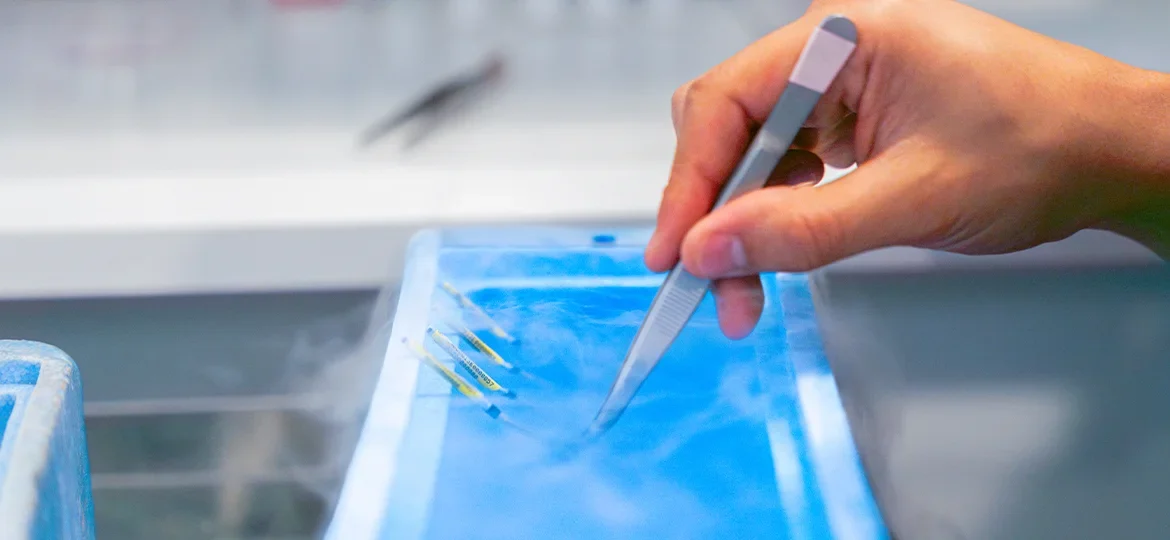 Egg vitrification not just freezing but control