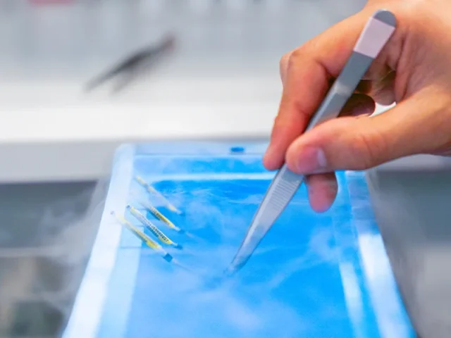 Egg vitrification not just freezing but control